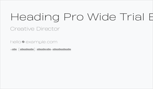 Heading Pro Wide Trial ExtraLight Business Card