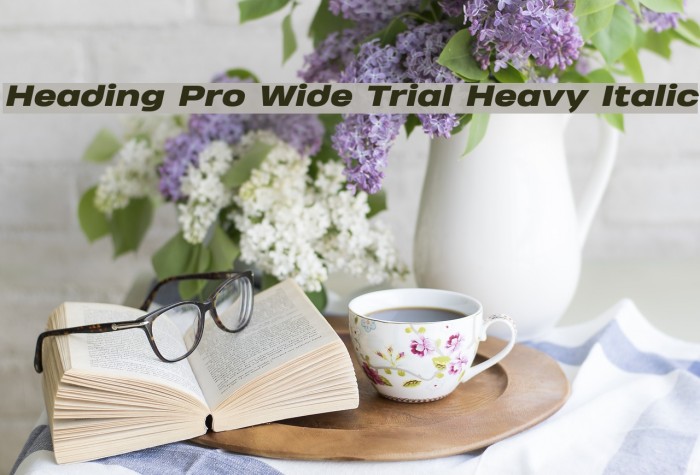 Heading Pro Wide Trial Heavy Italic Example 1