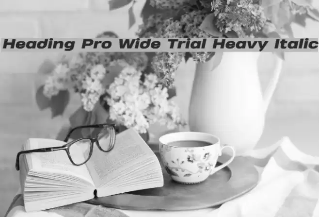 Heading Pro Wide Trial Heavy Italic Font examples