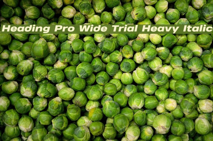 Heading Pro Wide Trial Heavy Italic Example 3