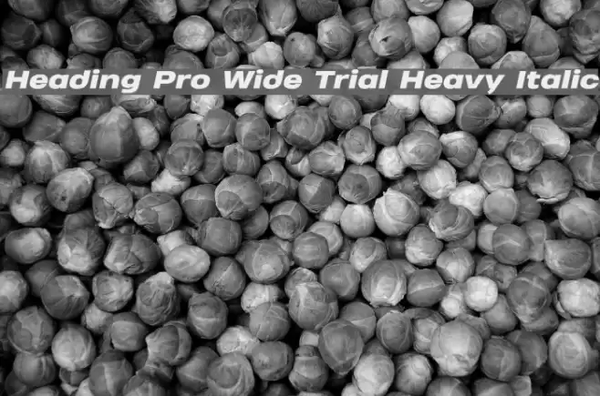 Heading Pro Wide Trial Heavy Italic Font examples