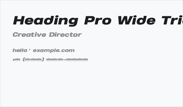 Heading Pro Wide Trial Heavy Italic Business Card
