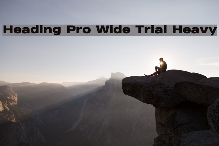 Heading Pro Wide Trial Heavy Font examples