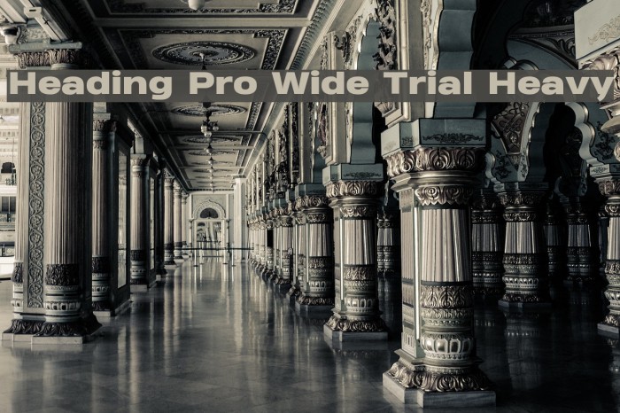 Heading Pro Wide Trial Heavy Font examples