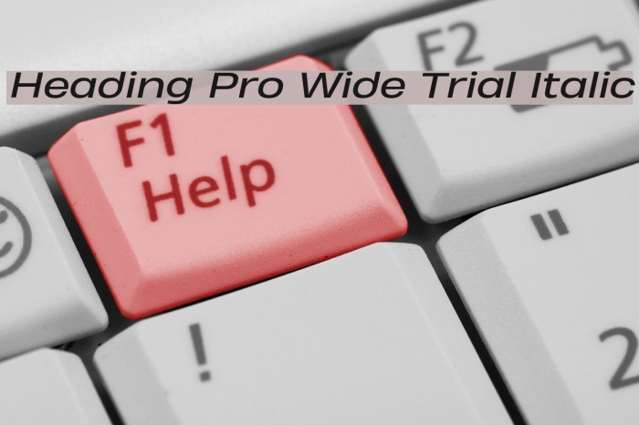 Heading Pro Wide Trial Italic Font examples