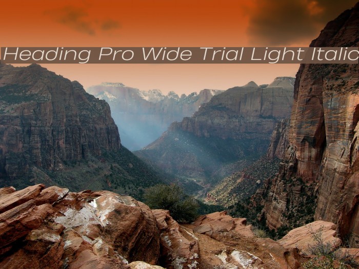 Heading Pro Wide Trial Light Italic Example 1
