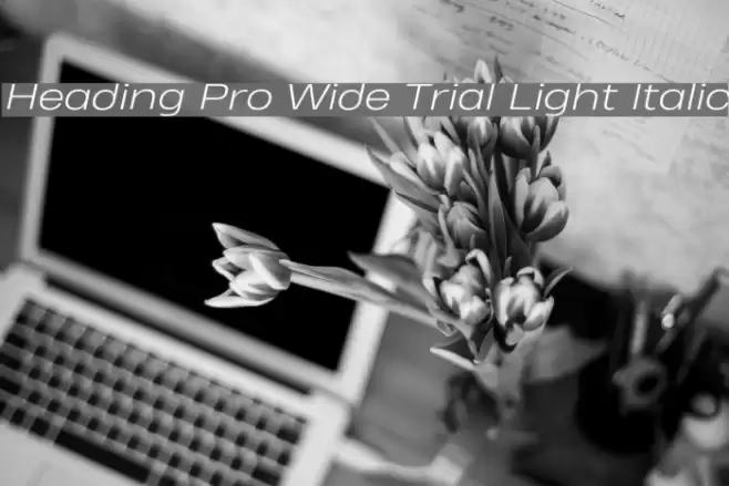 Heading Pro Wide Trial Light Italic Font examples