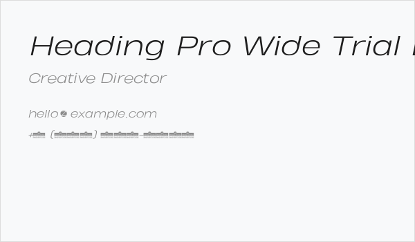 Heading Pro Wide Trial Light Italic Business Card