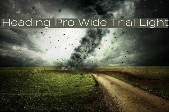 Heading Pro Wide Trial Light Font examples