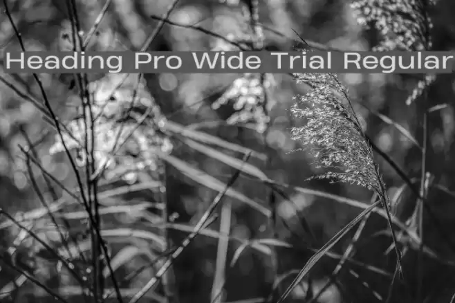 Heading Pro Wide Trial Regular Font examples
