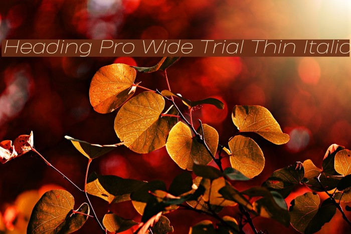 Heading Pro Wide Trial Thin Italic Font examples