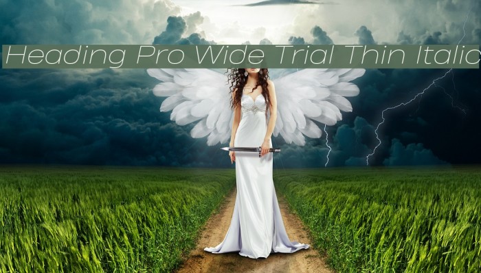 Heading Pro Wide Trial Thin Italic Font examples