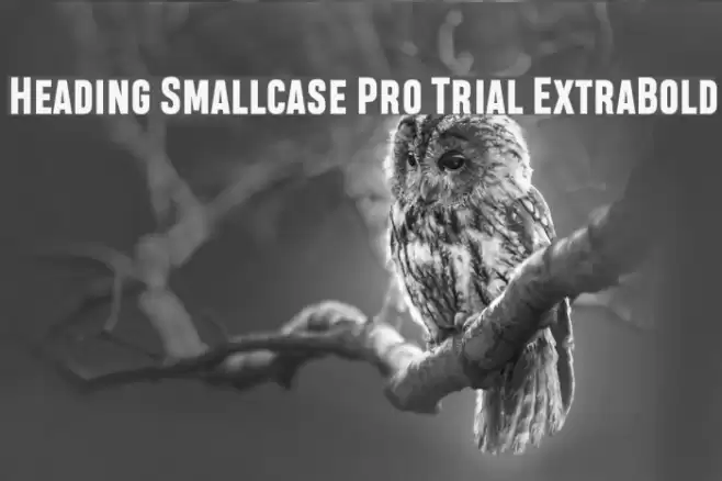 Heading Smallcase Pro Trial ExtraBold Font examples