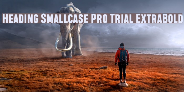 Heading Smallcase Pro Trial ExtraBold Шрифта examples
