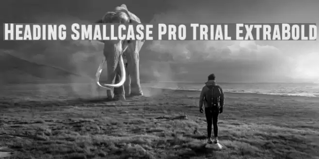 Heading Smallcase Pro Trial ExtraBold Font examples