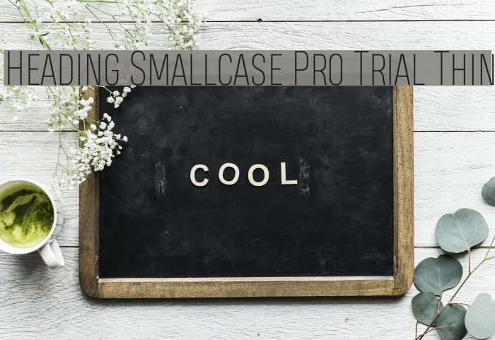 Heading Smallcase Pro Trial Thin Font examples