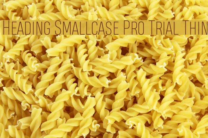 Heading Smallcase Pro Trial Thin Font examples