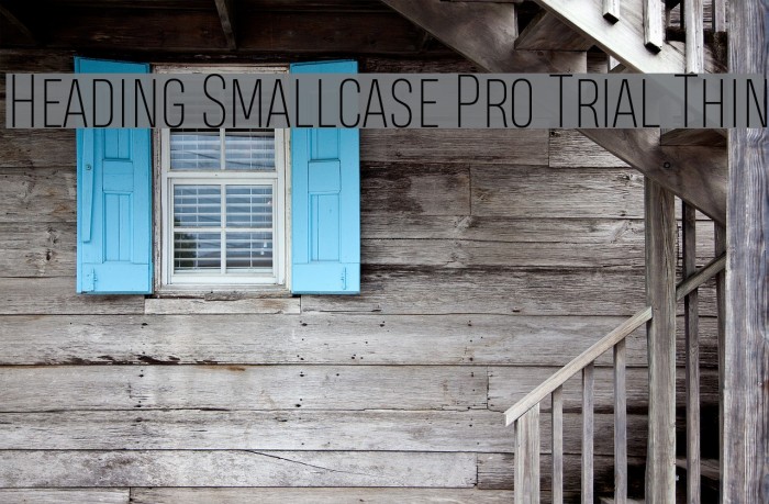 Heading Smallcase Pro Trial Thin Font examples