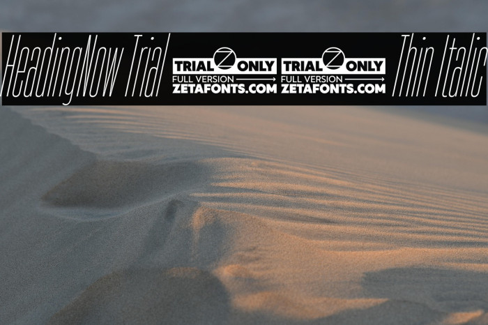 HeadingNow Trial 01 Thin Italic Example 1