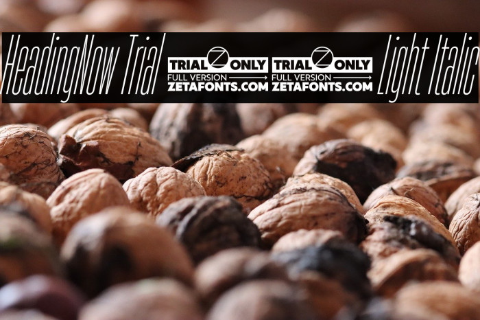 HeadingNow Trial 02 Light Italic Example 1
