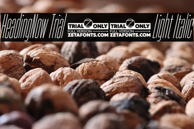 HeadingNow Trial 02 Light Italic Example 1