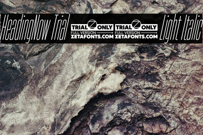 HeadingNow Trial 02 Light Italic Example 2