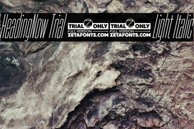 HeadingNow Trial 02 Light Italic Example 2