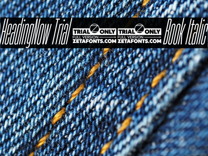 HeadingNow Trial 03 Book Italic Example 1