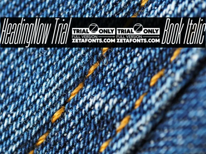 HeadingNow Trial 03 Book Italic Example 1