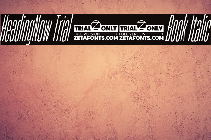 HeadingNow Trial 03 Book Italic Example 3