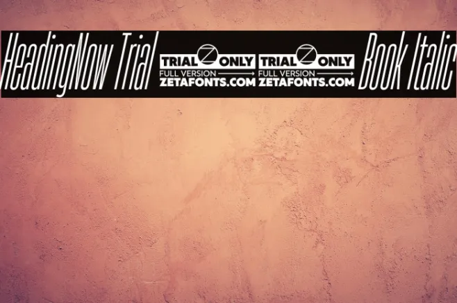 HeadingNow Trial 03 Book Italic Example 3