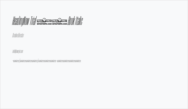 HeadingNow Trial 03 Book Italic Business Card