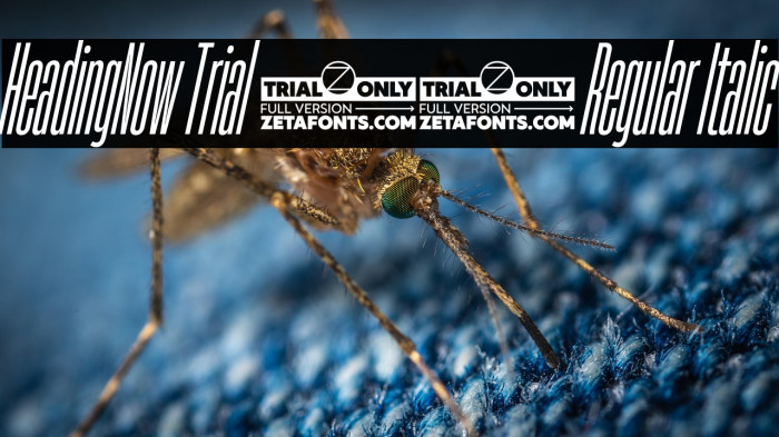 HeadingNow Trial 04 Regular Italic Example 1