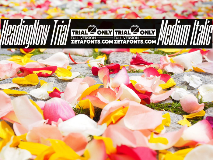 HeadingNow Trial 05 Medium Italic Example 2