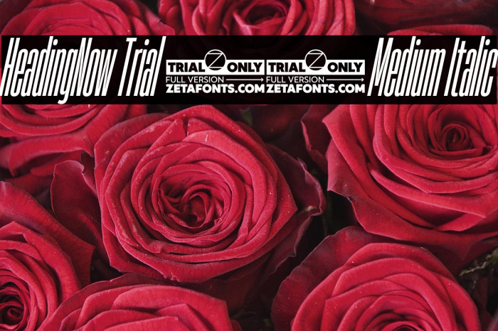 HeadingNow Trial 05 Medium Italic Example 3