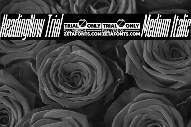 HeadingNow Trial 05 Medium Italic Font examples