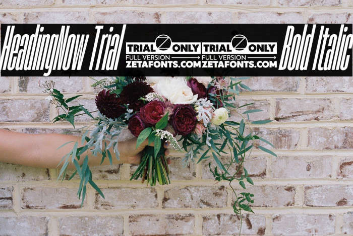 HeadingNow Trial 06 Bold Italic Example 1