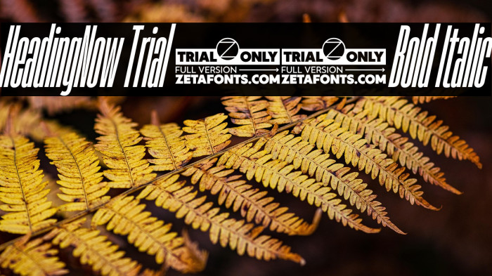 HeadingNow Trial 06 Bold Italic Example 2