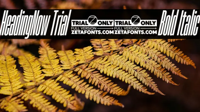HeadingNow Trial 06 Bold Italic Example 2