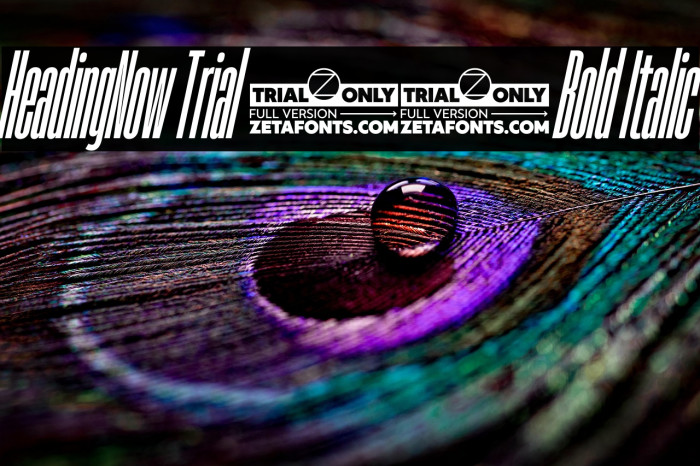 HeadingNow Trial 06 Bold Italic Example 3