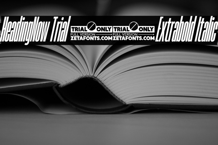 HeadingNow Trial 07 Extrabold Italic Example 1