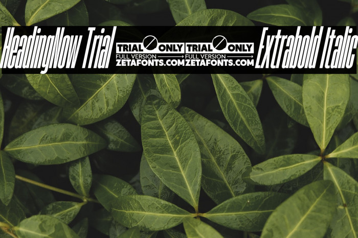 HeadingNow Trial 07 Extrabold Italic Example 3