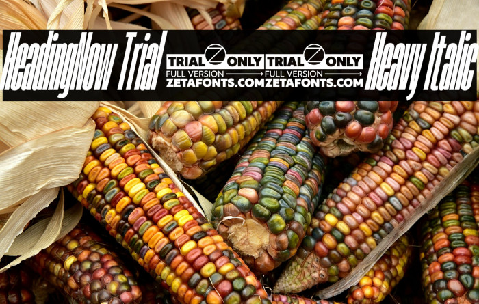 HeadingNow Trial 08 Heavy Italic Example 1