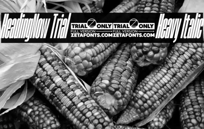 HeadingNow Trial 08 Heavy Italic Font examples