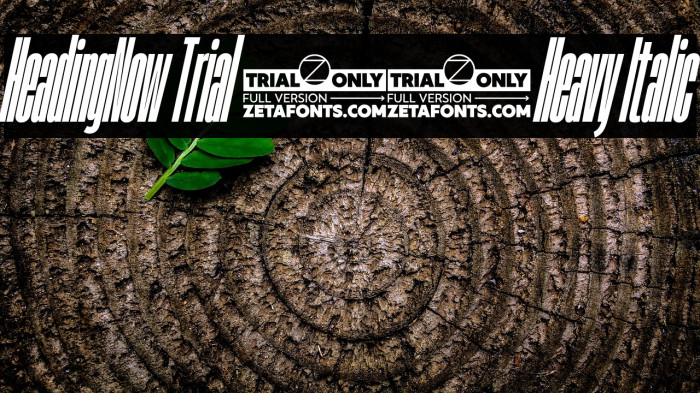 HeadingNow Trial 08 Heavy Italic Example 2