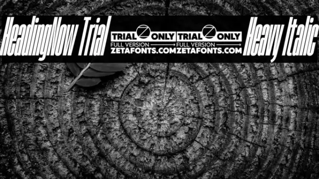 HeadingNow Trial 08 Heavy Italic Font examples