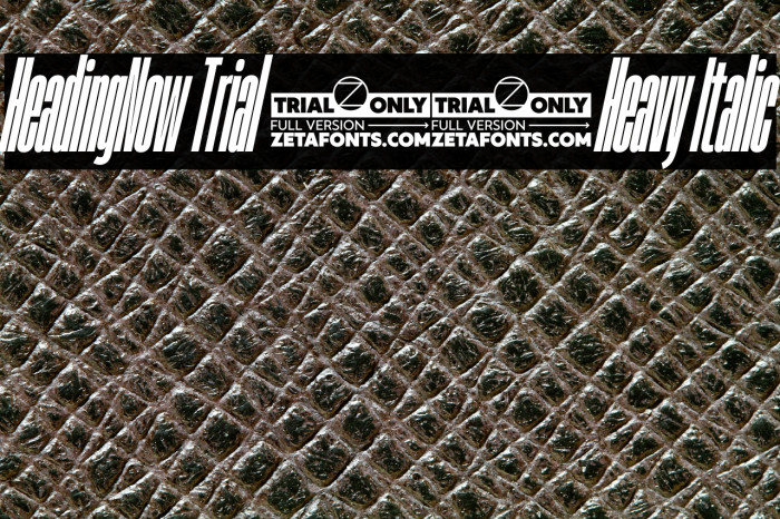 HeadingNow Trial 08 Heavy Italic Example 3