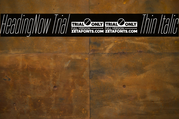 HeadingNow Trial 11 Thin Italic Example 2