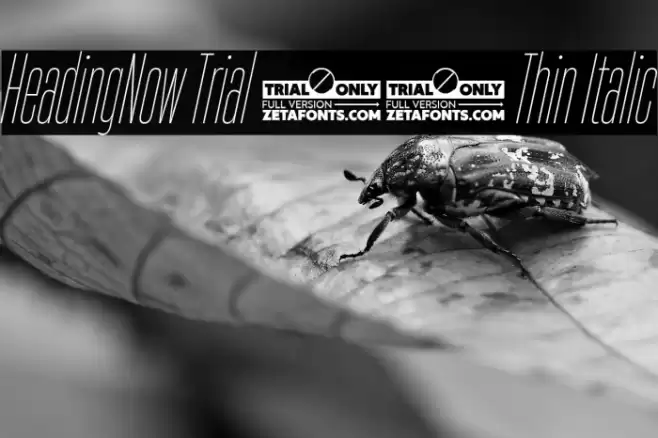 HeadingNow Trial 11 Thin Italic Font examples
