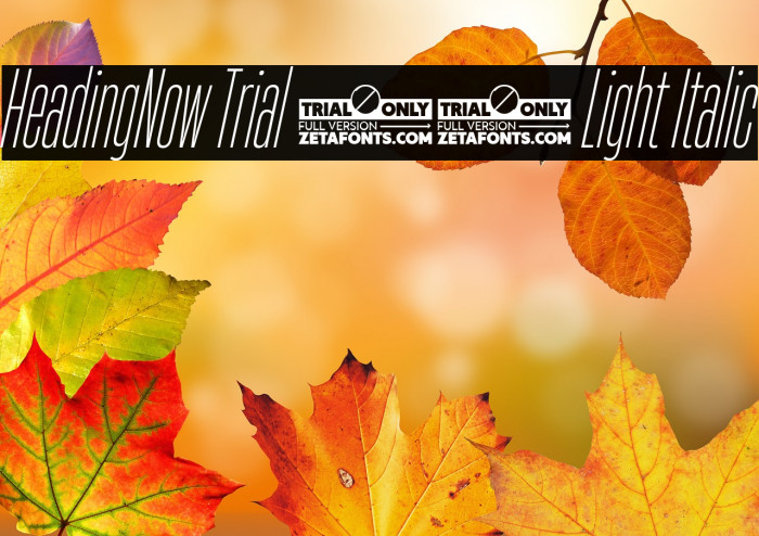 HeadingNow Trial 12 Light Italic Example 1